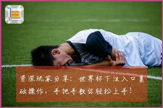 资深玩家分享：世界杯下注入口基础操作，手把手教你轻松上手！
