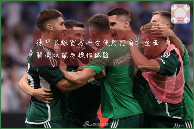德甲买球官方平台使用指南：全面解读功能与操作体验
