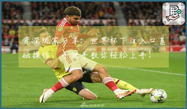 资深玩家分享：世界杯下注入口基础操作，手把手教你轻松上手！