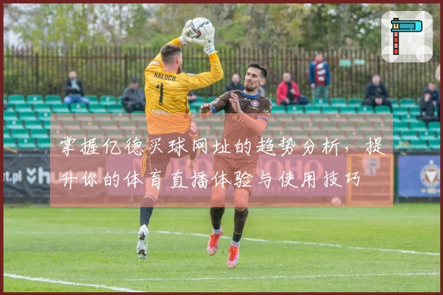 掌握亿德买球网址的趋势分析，提升你的体育直播体验与使用技巧